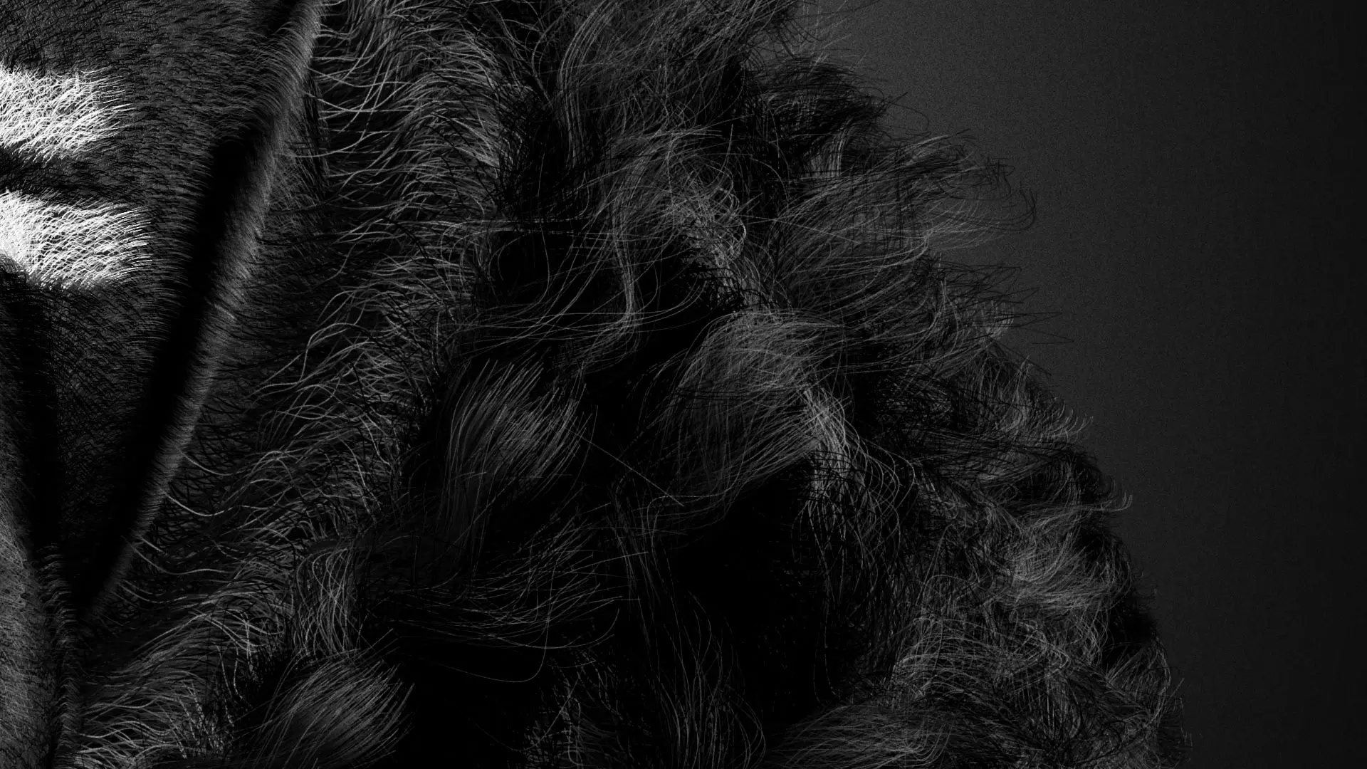 Black Lamb